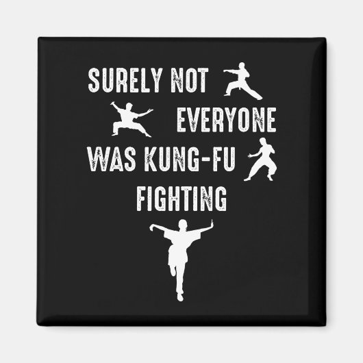 確かに誰もがカンフー戦っていたわけではない マグネット (正面)