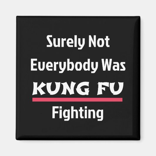 確かに誰もがカンフー戦っていたわけではない マグネット (正面)