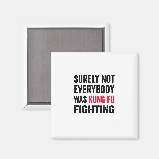 確かに誰もがカンフー戦っていたわけではない マグネット (正面/裏面)