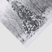 確信を持って分離 薄葉紙 (詳細)