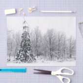 確信を持って分離 薄葉紙 (クラフト)