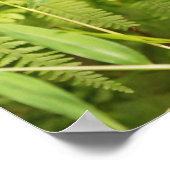 確定済みベビーチムンクポスター ポスター (角)