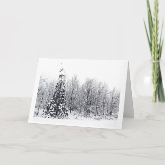 確実な分離 シーズンカード (正面)