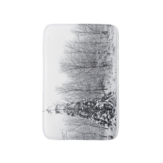 確実な分離 バスマット (正面縦)