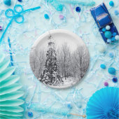 確実な分離 ペーパープレート (パーティー)