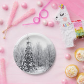 確実な分離 ペーパープレート (パーティー)