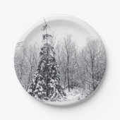 確実な分離 ペーパープレート (正面)