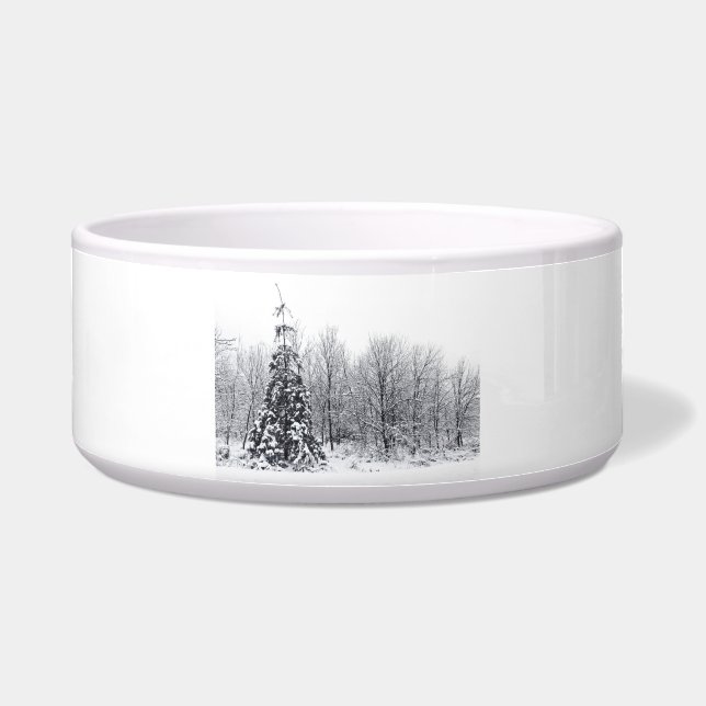 確実な分離 ボウル (正面)