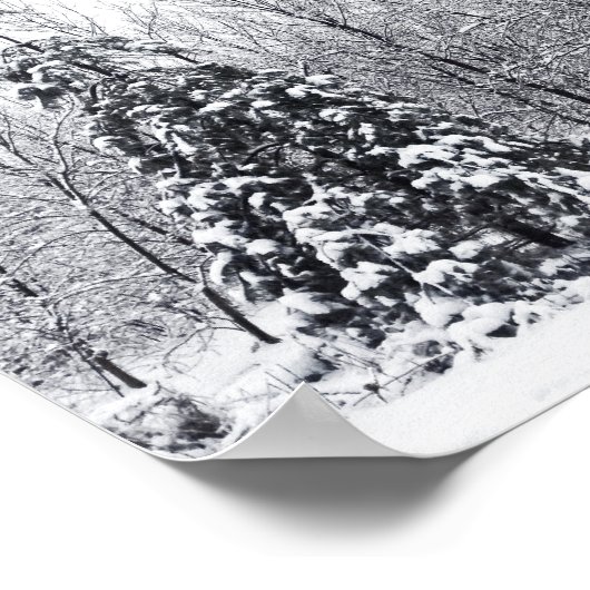 確実な分離 ポスター (角)