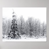 確実な分離 ポスター (正面)