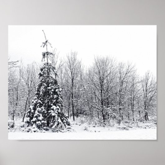 確実な分離 ポスター (正面)