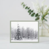 確実な分離 ポストカード (スタンド正面)