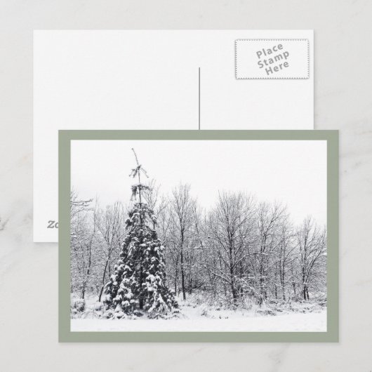 確実な分離 ポストカード (正面/裏面)