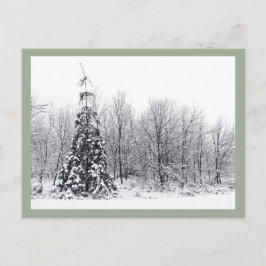 確実な分離 ポストカード