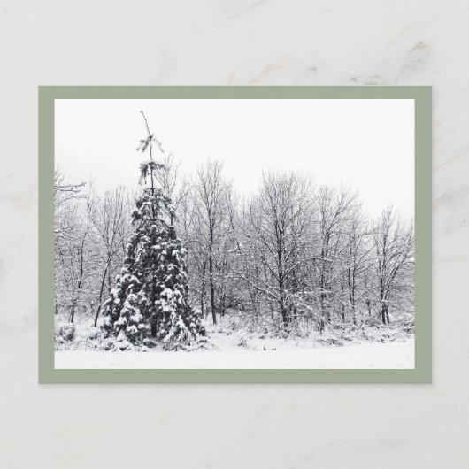 確実な分離 ポストカード (正面)