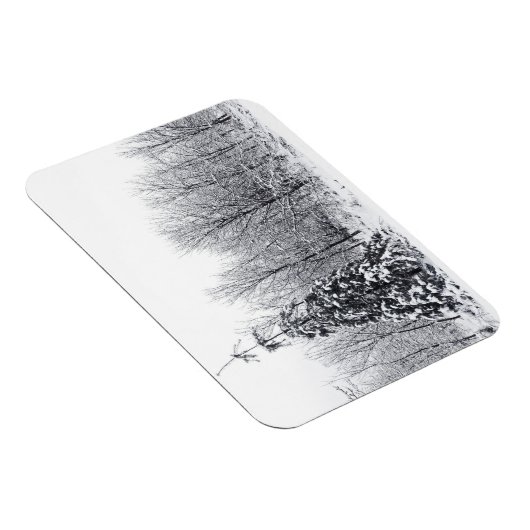 確実な分離 マグネット (右側)