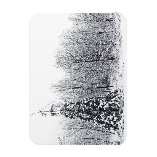 確実な分離 マグネット (縦)