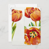 確実な2013年に3つのチューリップの勉強 ポストカード (正面/裏面)