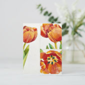 確実な2013年に3つのチューリップの勉強 ポストカード (スタンド正面)