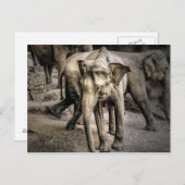 確認 ポストカード (正面/裏面)