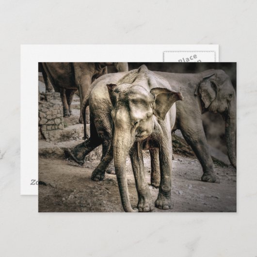 確認 ポストカード (正面/裏面)