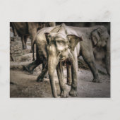 確認 ポストカード (正面)