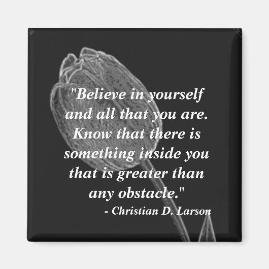 磁やる気を起こさせる石 マグネット (正面)