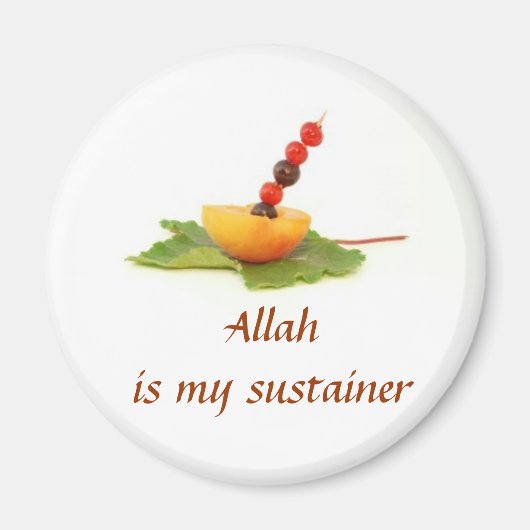 磁やる気を起こさせる石 マグネット (正面)