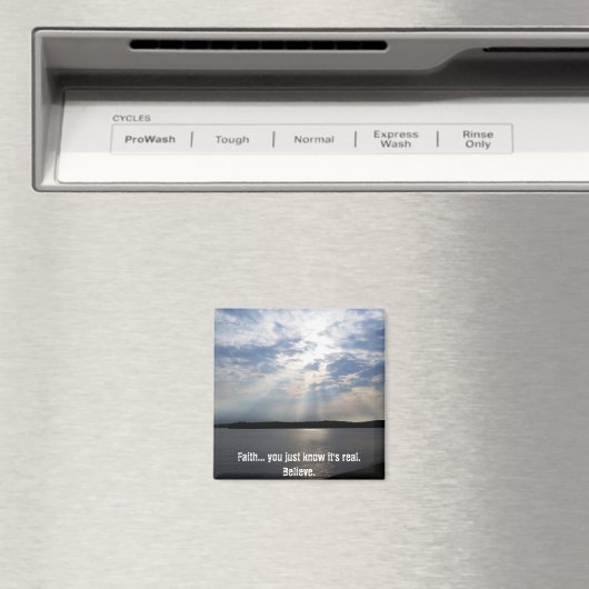 磁信じ石 マグネット (インサイチュ (食洗機))