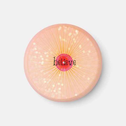 磁信じ石 マグネット (正面)