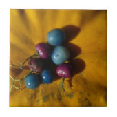 磁器の果実とカボチャ タイル (正面)