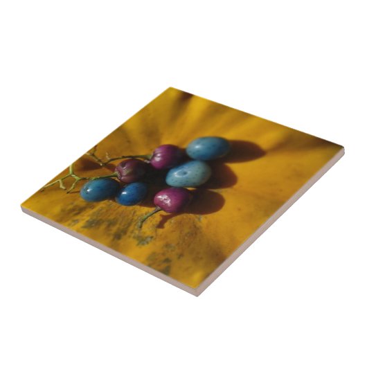 磁器の果実とカボチャ タイル (側面)