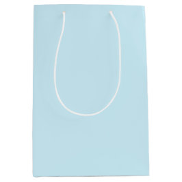 磁器ブルー ミディアムペーパーバッグ