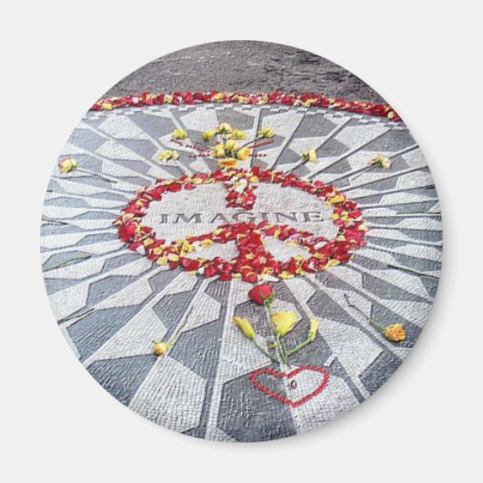 磁想像石 マグネット (正面)