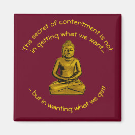 磁感動的石 マグネット