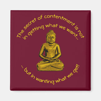 磁感動的石 マグネット