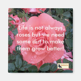 磁感動的石 – 移保動 マグネット