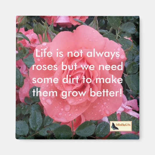 磁感動的石 – 移保動 マグネット (正面)