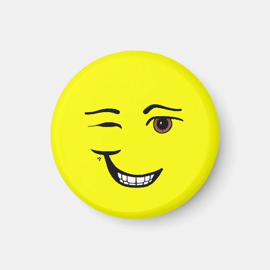 磁気のあるそぶりをした石 マグネット (正面)