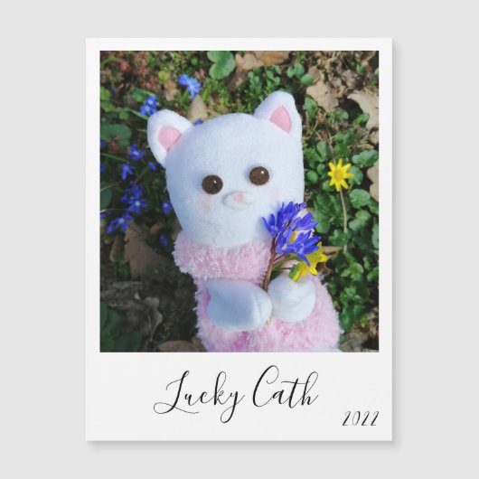 磁気イパーソナライズされたンエレガントチットフォトカード (正面)