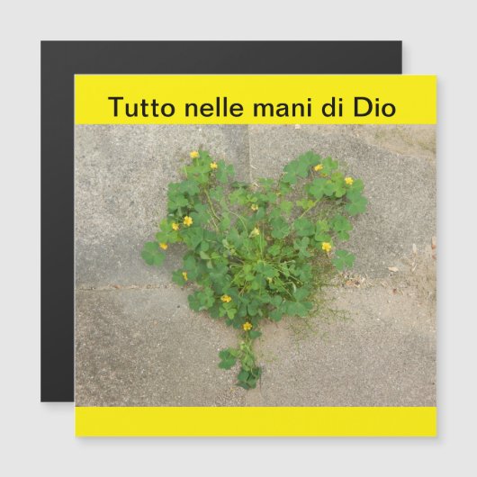 磁気カード (正面/裏面)