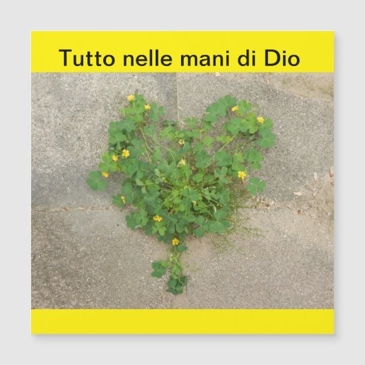 磁気カード (正面)