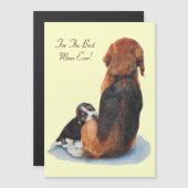 磁気カード (正面/裏面)