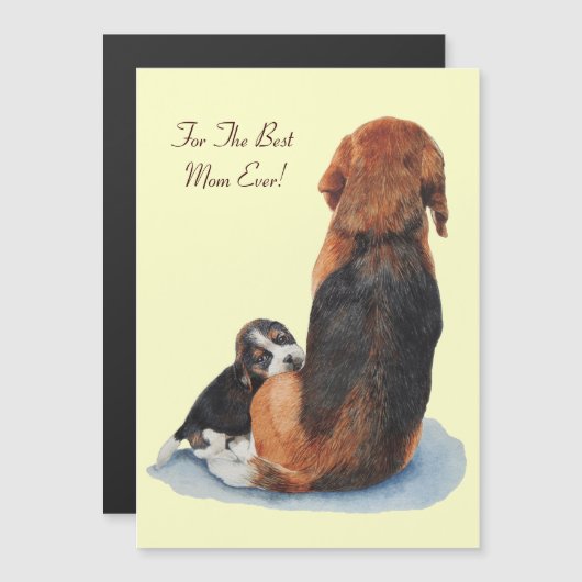 磁気カード (正面/裏面)