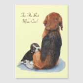 磁気カード (正面)