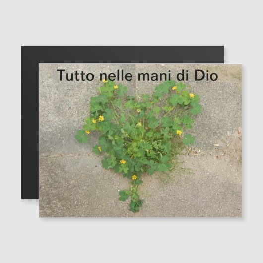 磁気カード、スピリチュアル (正面/裏面)