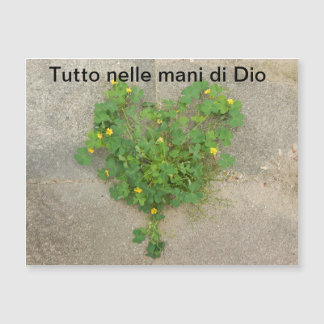 磁気カード、スピリチュアル