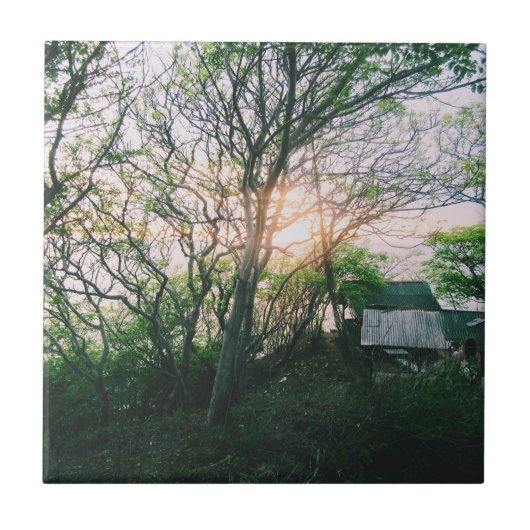 磁気カード タイル (正面)