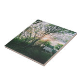 磁気カード タイル (側面)