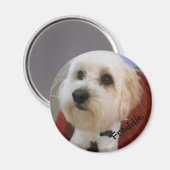 磁気パーソナリティ – フレディー マグネット (正面/裏面)